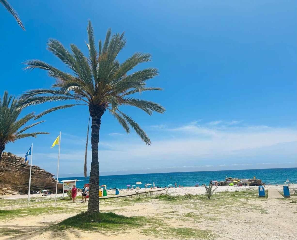Sol Mediterraneo Palm Beach 3 La Vila Joiosa Extérieur photo